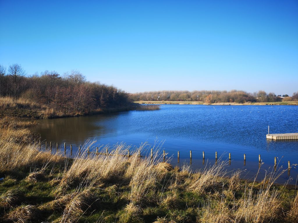 Cleethorpes country park