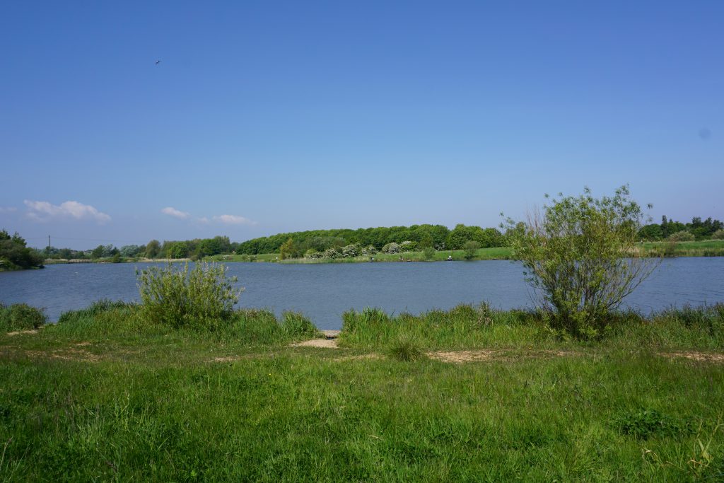 Cleethorpes country park